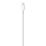 Apple Type C to Lightning Cable angle 2