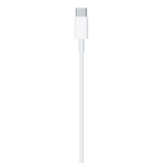 Apple Type C to Lightning Cable connector detail
